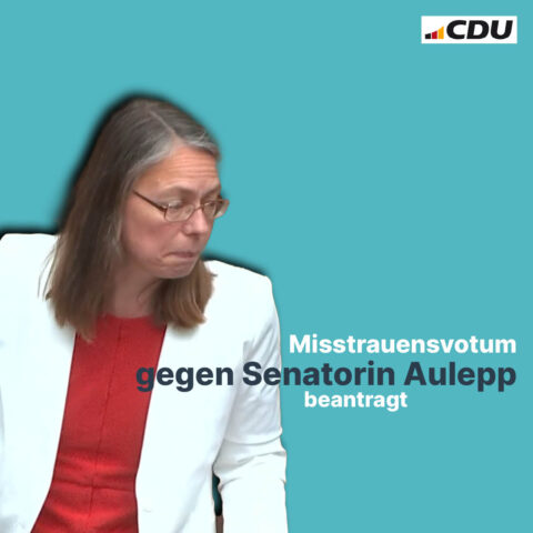 Misstrauensantrag gegen Senatorin Aulepp